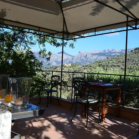 Son Bleda Hotel 4*