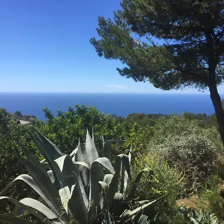 Hotel Son Bleda 4*
